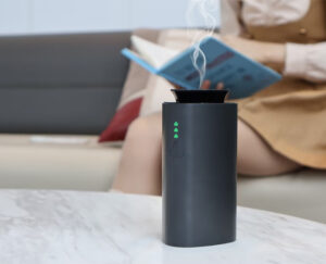 Breeze Veil mini